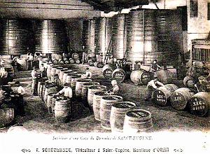 Oran - Saint-Eugene - Cave Seneclauze